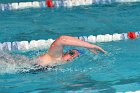 Swimming vs Bentley  Wheaton College Swimming & Diving vs Bentley College. - Photo by Keith Nordstrom : Wheaton, Swimming & Diving